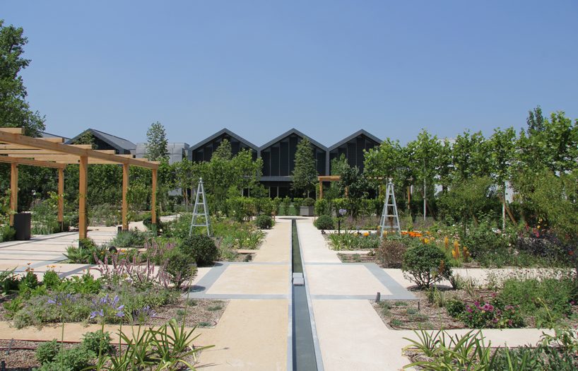 davines unveils scientific garden designed by tommaso del buono for research and wellbeing designboom