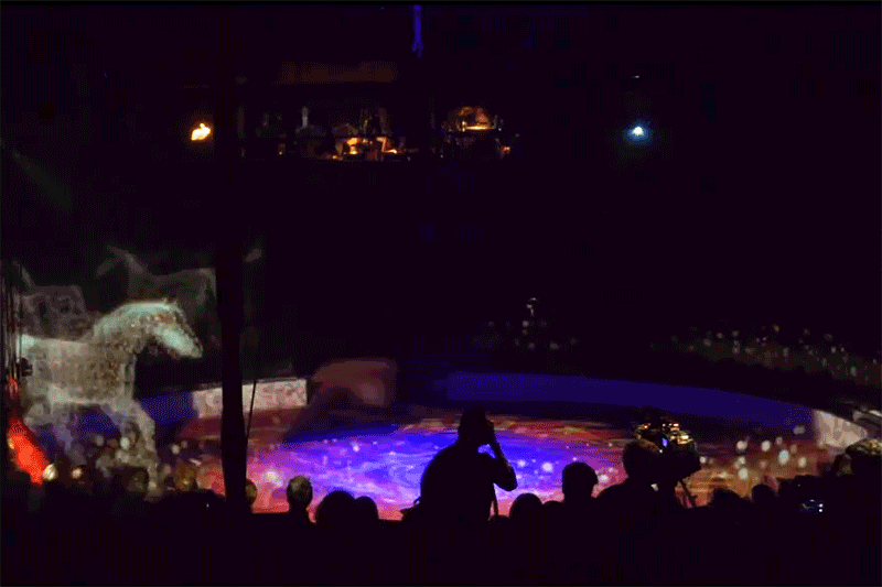 could this animal-free holographic experience be the circus of the future? - 2