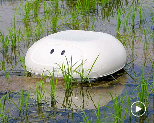 nissan builds robot duck to help rice farmers keep weeds out of their paddies