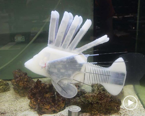 scientists develop robotic fish that uses hydraulic blood to swim for 36 hours