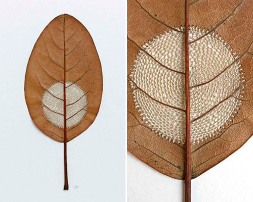 susanna bauer crochets leaves into delicate sculptures