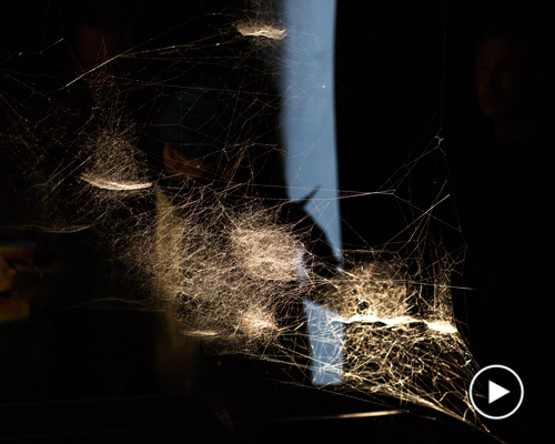 tomás saraceno brings spider webs to the venice art biennale