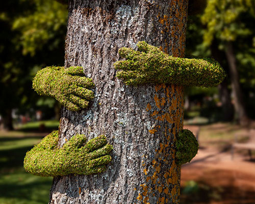 monsieur plant grows a love of nature in france with installation TREE HUG