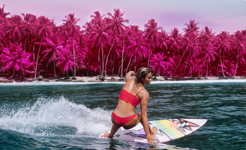 billabong creatures color