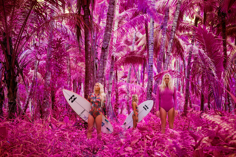 billabong creatures color