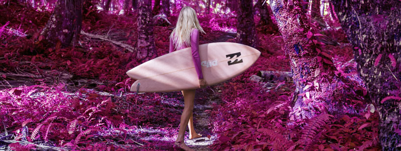 billabong creatures color