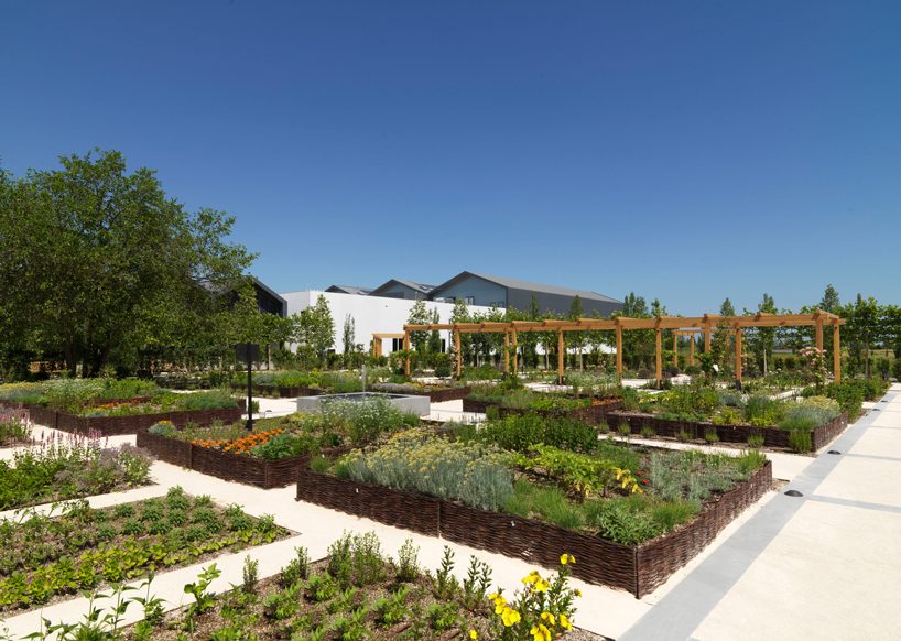 davines unveils scientific garden designed by tommaso del buono for research and wellbeing designboom