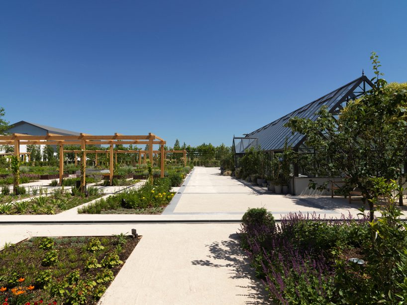 davines unveils scientific garden designed by tommaso del buono for research and wellbeing designboom