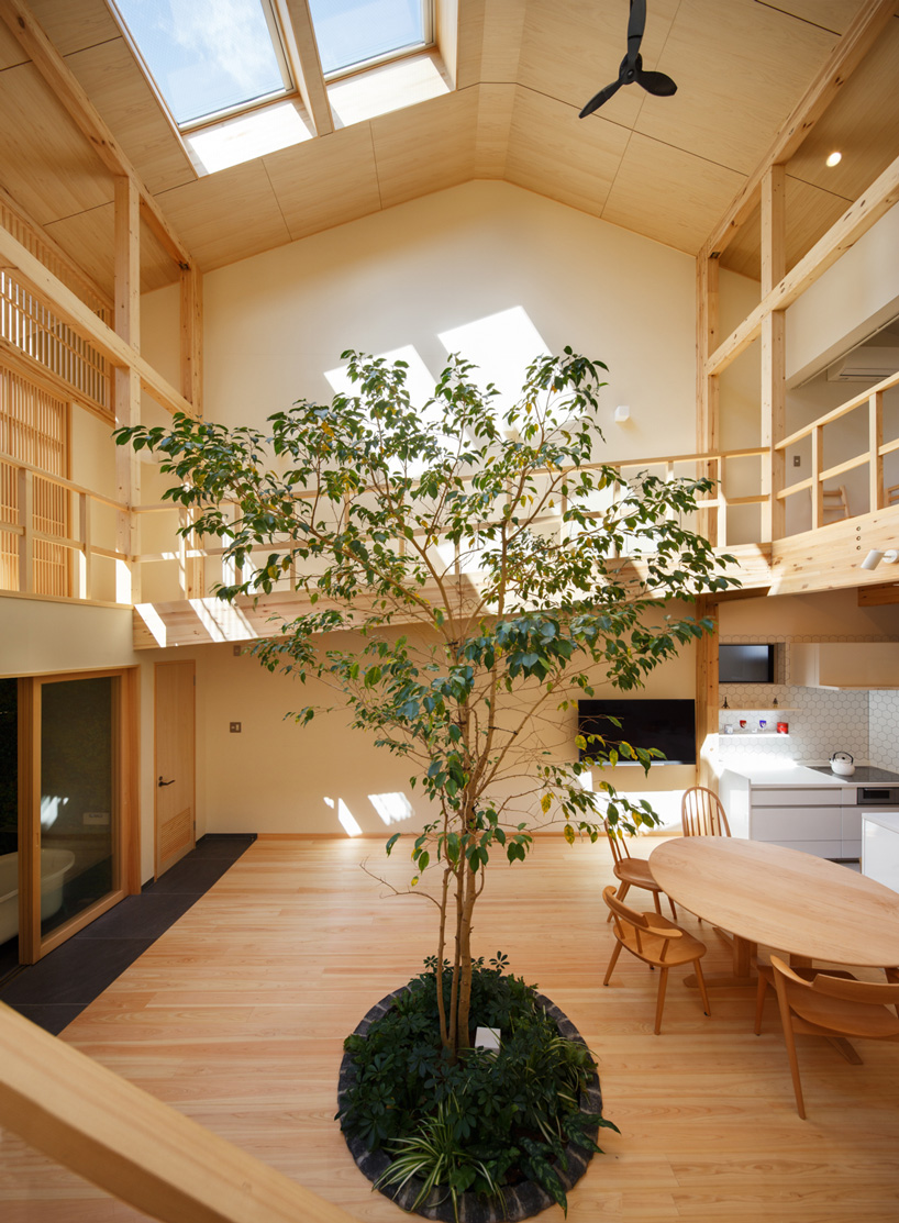  07BEACH builds family house in kyoto with an indoor tree growing at its center