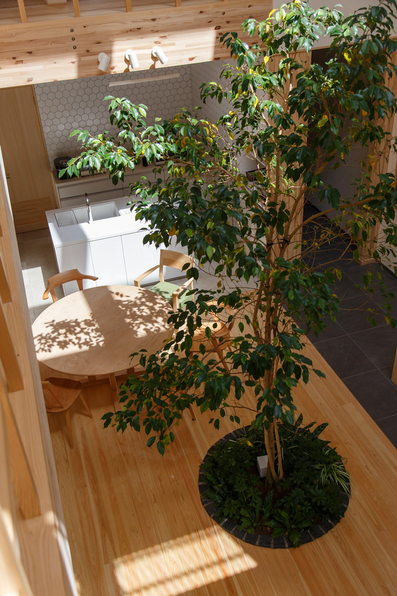  07BEACH builds family house in kyoto with an indoor tree growing at its center