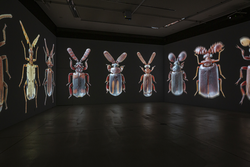 insects models for design 21_12 design sight designboom