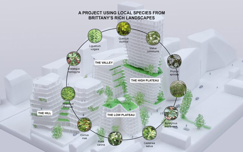 JDS architects' 'féval tower' wins competition for a new residential complex in france designboom