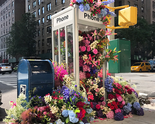 a bountiful bouquet of colorful blooms emerges from this new york city phone booth