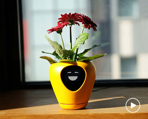 the 'lua' smart planter transforms your plants into tamagotchi-like pets