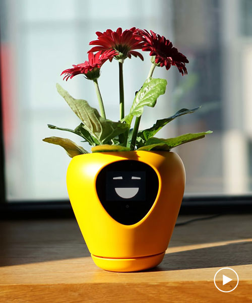 lua smart planter uses facial expressions to help you look after your