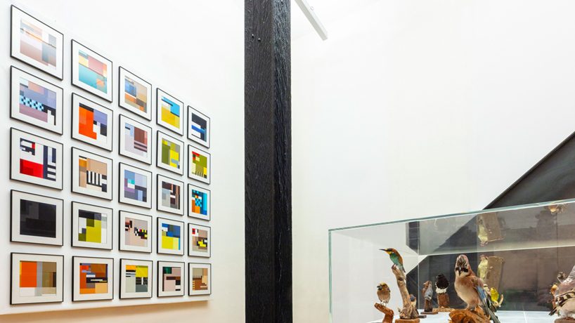 BLOCBIRDS transforms the beauty of birds into colorful graphic illustrations