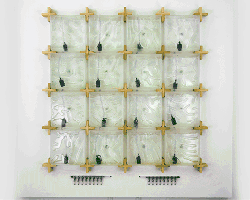 grow green superfoods at home with ulrim's coral algae farming system
