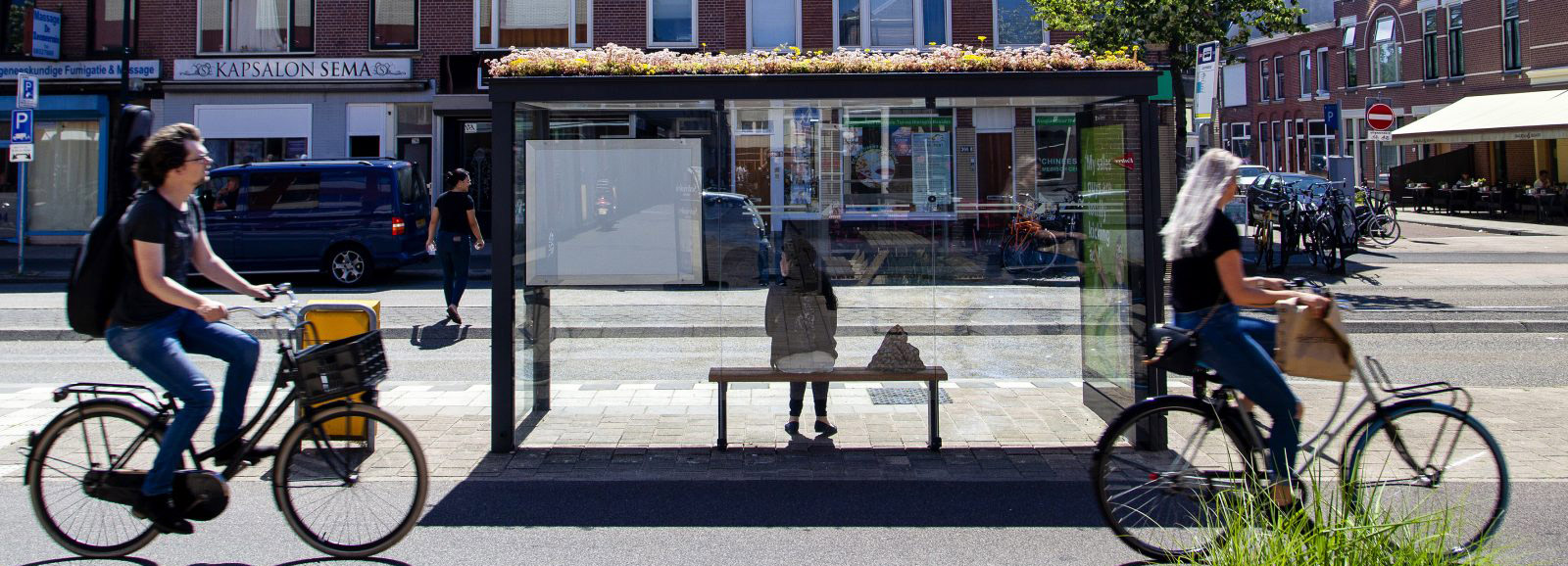 utrecht transforms over 300 bus stops into green-roofed bee stops