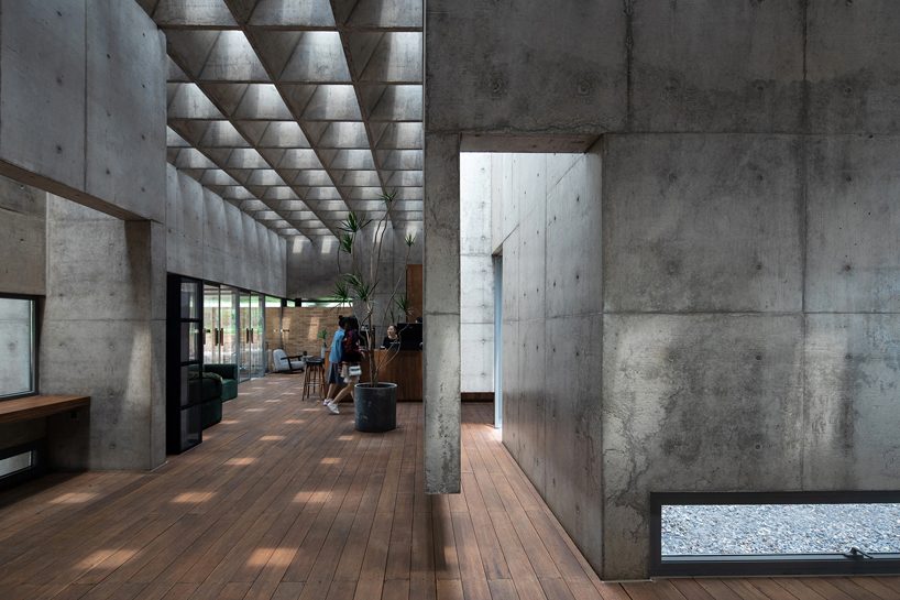 concrete waffle beams bring natural light into vector architects' restaurant in china designboom