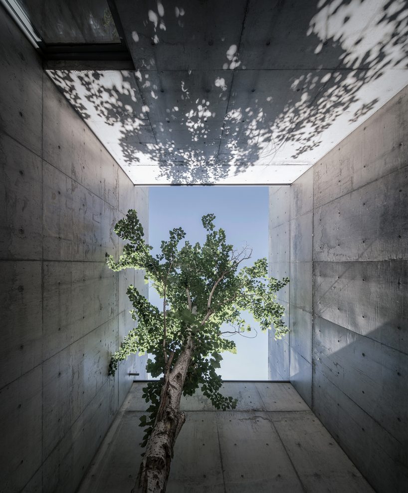 concrete waffle beams bring natural light into vector architects' restaurant in china designboom