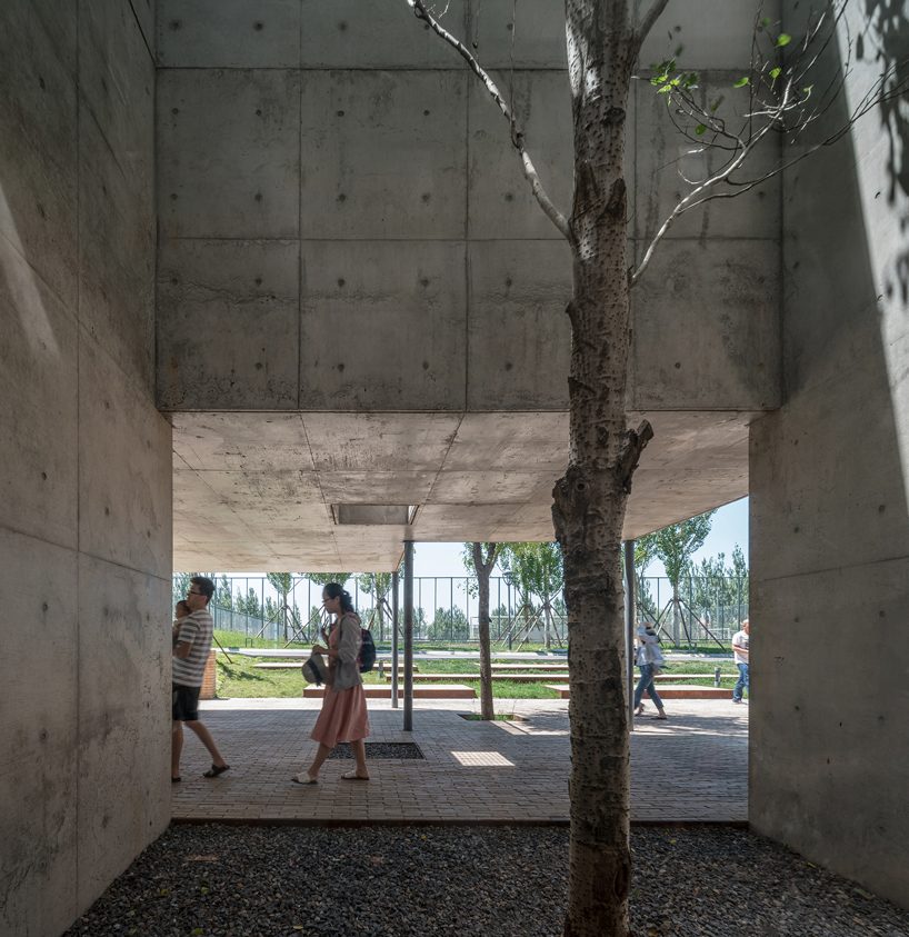 concrete waffle beams bring natural light into vector architects' restaurant in china designboom