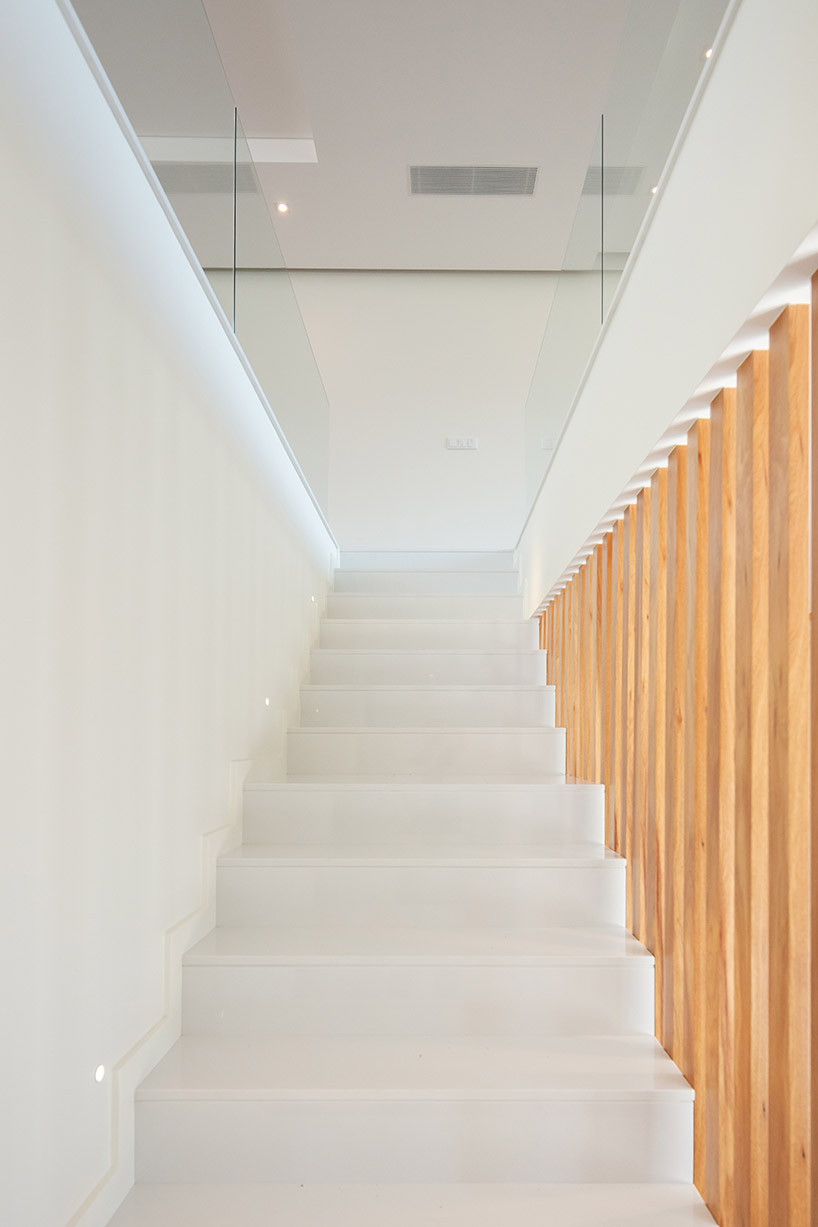 grupo zegnea opens the 'box XL houses' towards nature in portugal - 8