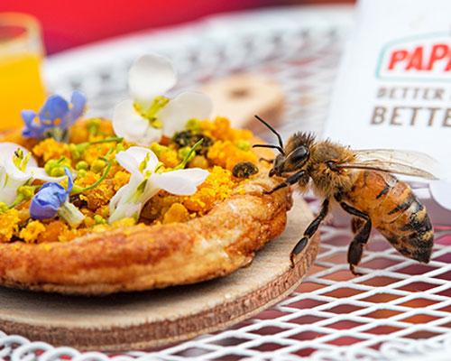 these miniature pizzas for bees are making a buzz for biodiversity