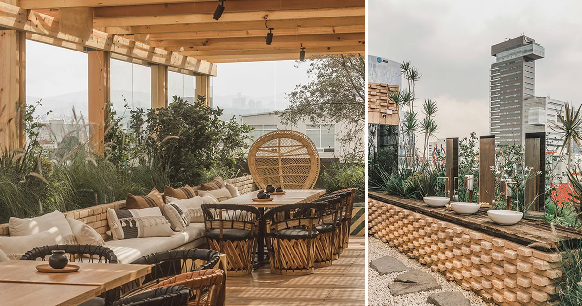 toledo rooftop by vertebral offers a glimpse of nature in mexico city