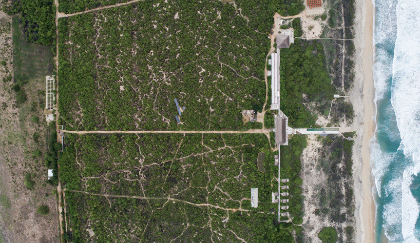 ambrosi etchegaray guayacan