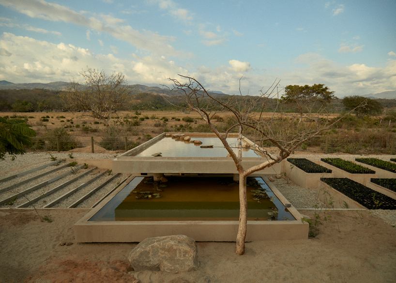 ambrosi etchegaray guayacan