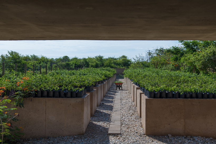 ambrosi etchegaray guayacan