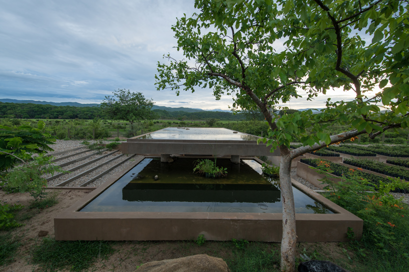 ambrosi etchegaray guayacan