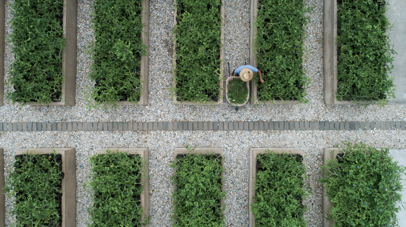 ambrosi etchegaray guayacan