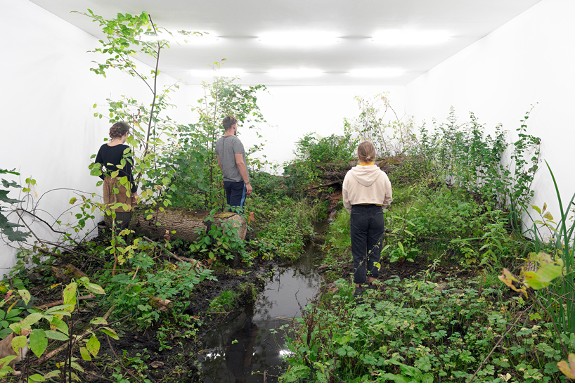 isolation fabian knecht