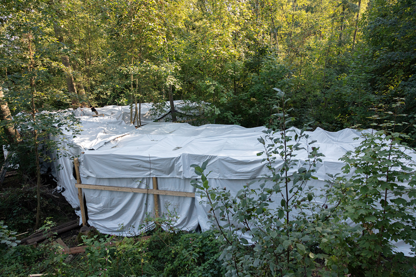 isolation fabian knecht