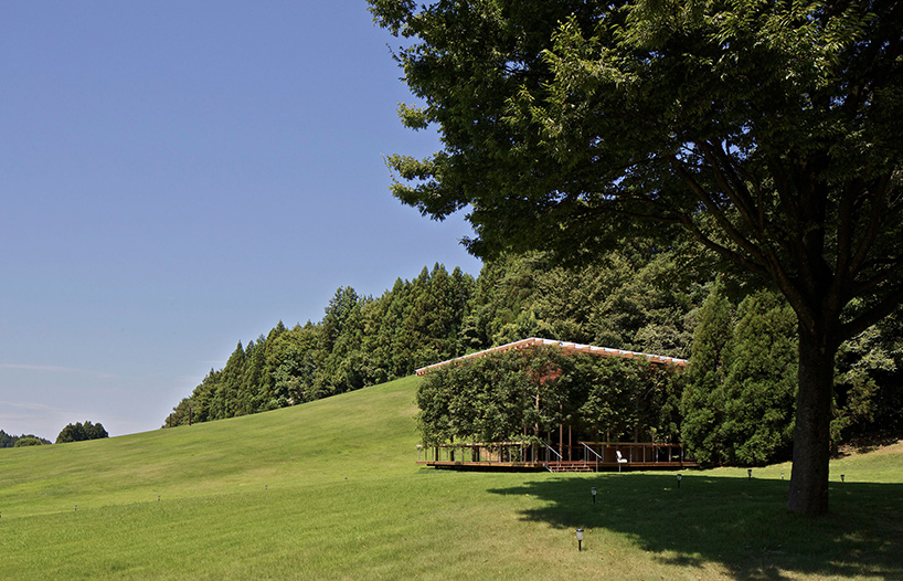 apldw white flower arbor