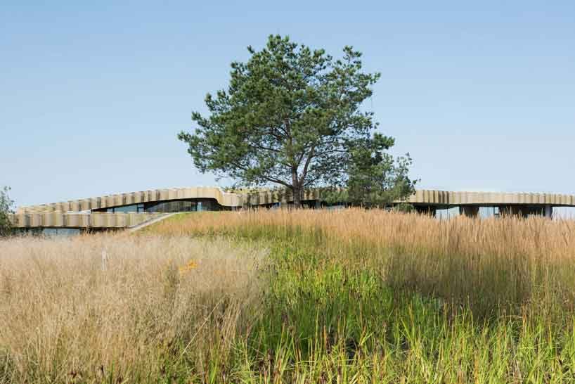 green roofs melt j.mayer.h's n.n. residence into the rolling hills of rural moscow designboom