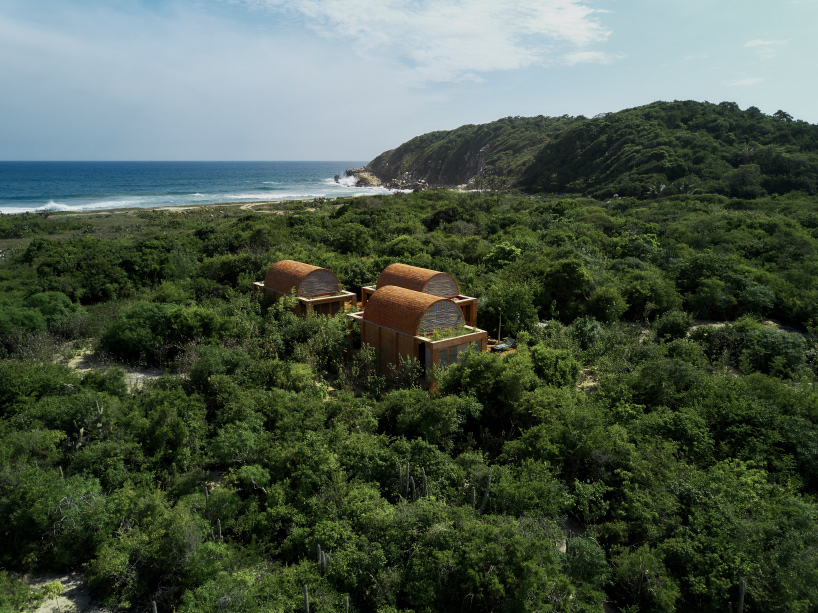 interview jorge ambrosi