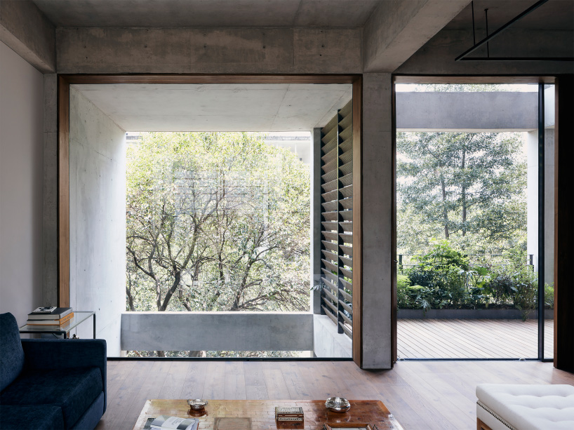 interview jorge ambrosi