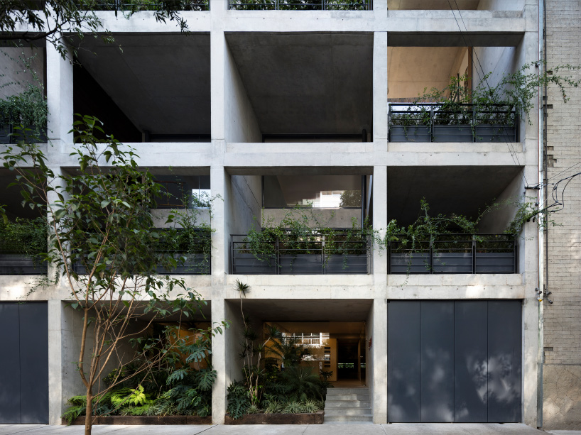 interview jorge ambrosi