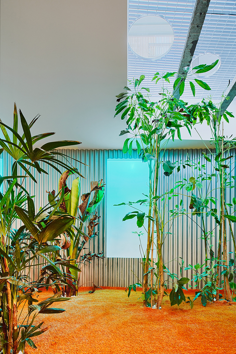 lucas y hernández gil adds artificial interior landscape to madrid's casa A12