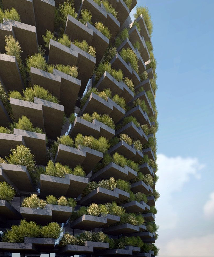 NUDES designs the forest school in india with a rooftop cycle track and 'live' skin designboom