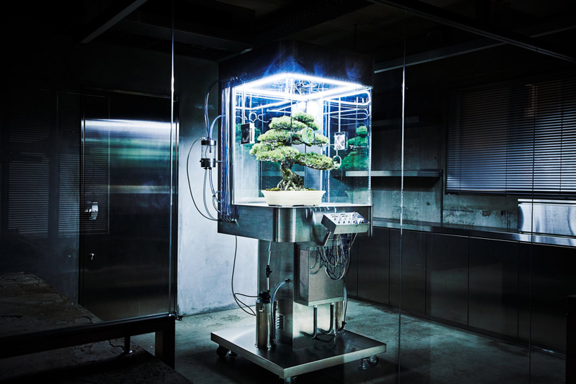 azuma makoto preserves bonsai tree inside futuristic ecosphere