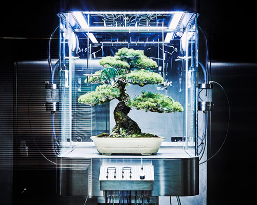azuma makoto preserves bonsai tree inside futuristic ecosphere 
