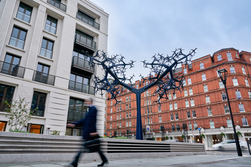 bicameral conrad shawcross