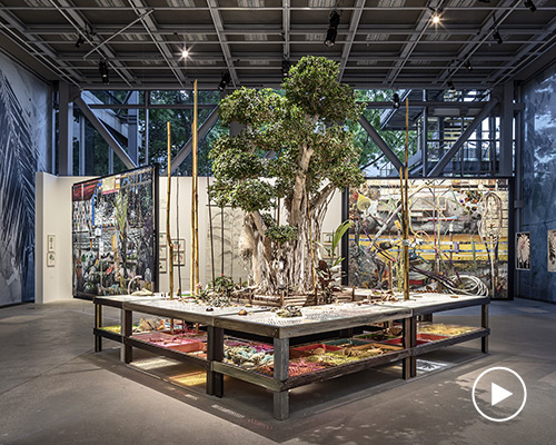 exhibition at fondation cartier pour l’art contemporain sheds new light on trees