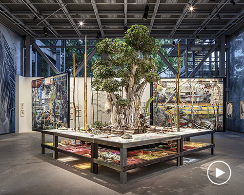 nous les arbres at fondation cartier pour l’art contemporain sheds new light on trees