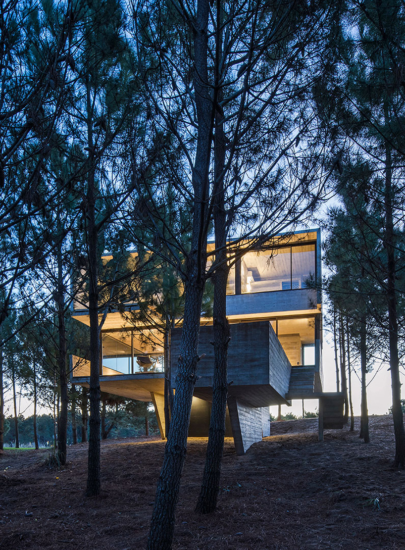luciano kruk stacks concrete volumes to build a 'house in the trees' in buenos aires designboom