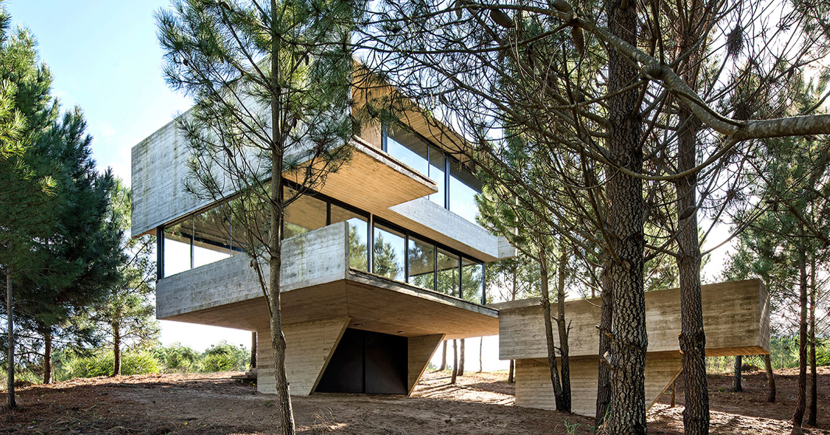 luciano kruk builds a concrete 'house in trees' in