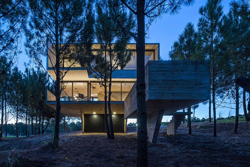 luciano kruk stacks concrete volumes to build a 'house in the trees' in buenos aires designboom